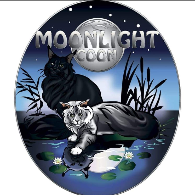 Moonlightcoon